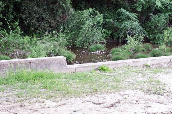 Once used as a swimming hole, it's now fenced off and overgrown. Please bring the dam back!