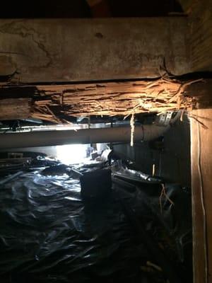 Home in Atlanta with termite damage in crawl space before treatment.