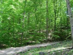 Buildable lot in Hide A Way Hills.  Perfect opportunity to build your dream home, and join a wonderful community.