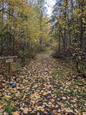 Beautiful trail outside the cabin