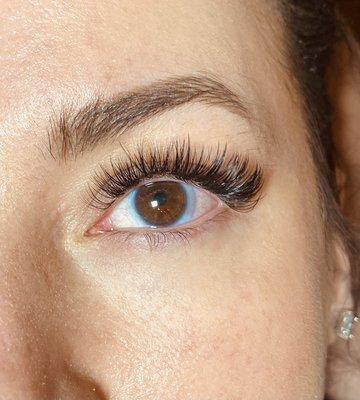 Volume Lashes