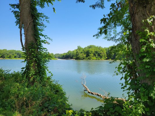 View of river