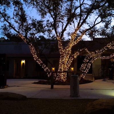 Courtyard at Night