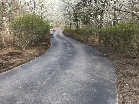 pruning and mulch