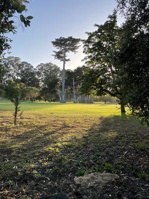 Golf course from Eucalyptus