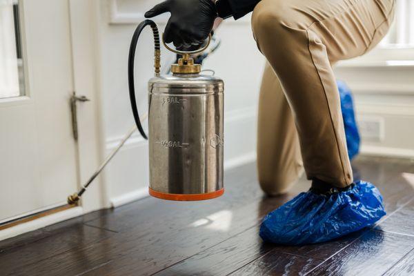 Pest Control treatment in Alpharetta are performed by experienced technicians who are experts in targeting, Ants, spiders, earwigs & more.