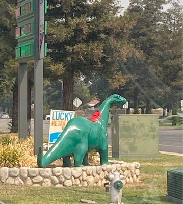 Back to school Dino.