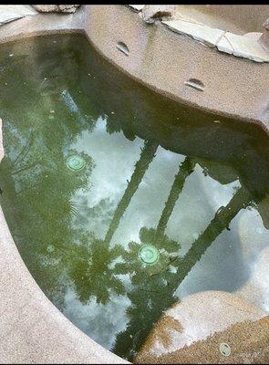 Green water in dipping pool