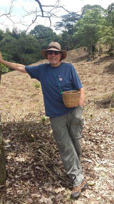 Your Rolfer picking coffee beans in Columbia