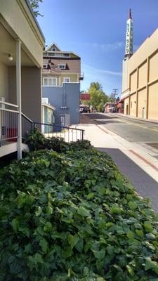 This side of Neal St. as you go towards the Del Oro Theater.  You can barely see our green BikeStuff sign above the red rectangular sign.