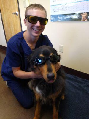 Assistant with dog during laser treatment