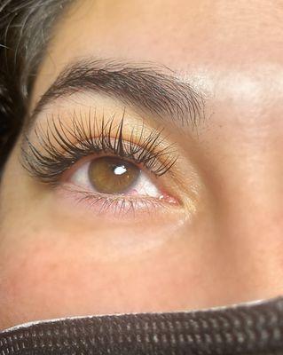 Lash extensions