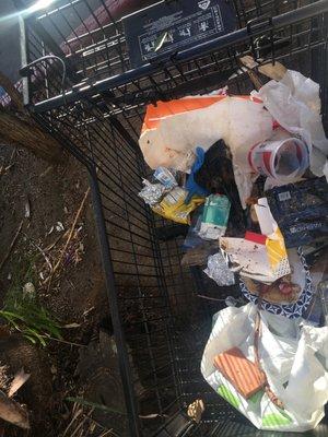 A shopping cart full of trash outside of the building door