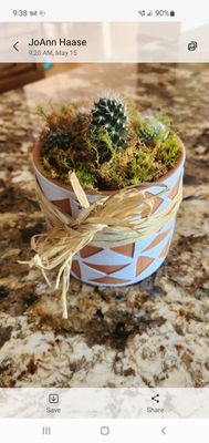 Product received as the cactus dish garden