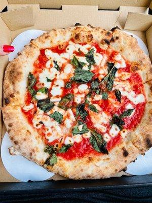 Margherita Pizza