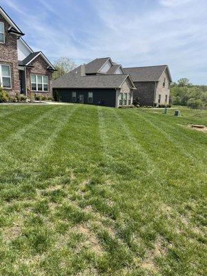 Lawn care in Sango area Clarksville,TN