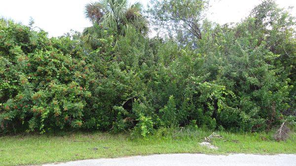 Time to build your dream house in beautiful deed restricted Deep Creek, on a cul-de-sac. Oversized lot, $16,000. 440 Xingu Ct Punta Gorda FL