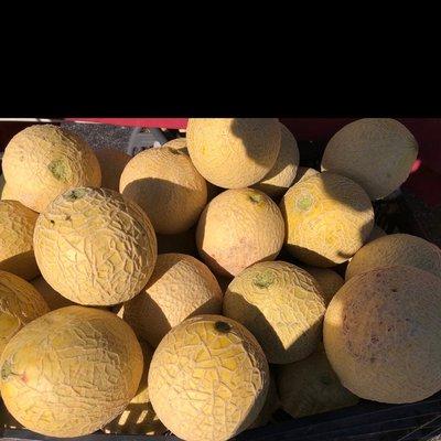 Cantaloupes