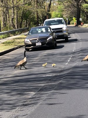 Traffic Jam. Rt 27. May 2022.