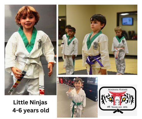 Our Little Ninjas Program starts at the age of 4.