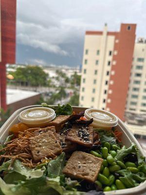 Tofu Asian salad