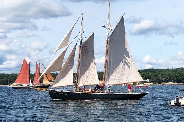 Busy day with the schooners in Gloucester harbor.