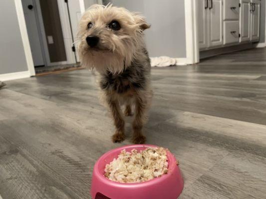 Lei lei eating her recommended diet after hydration, and pain meds.