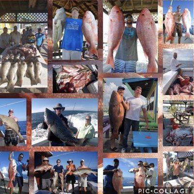 Book now! Paladin Fishing Charters! Call now.