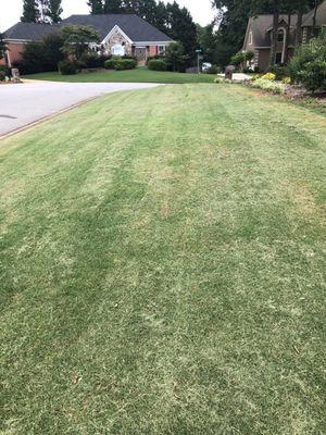 Lawn mowing, with edging 
Bush trimming
Pressure washing
Can cut small trees down