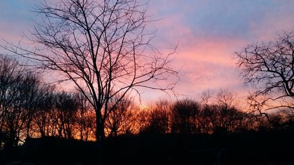 Sunset at the dog park.