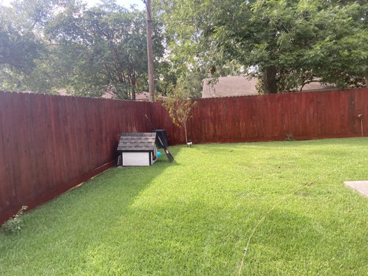 Fence after staining.