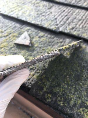 Close up of Asbestos Containing Cement Roof Shingle