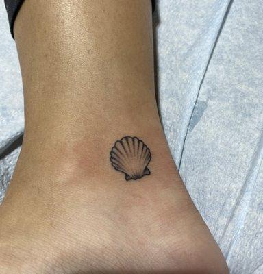 Small seashell