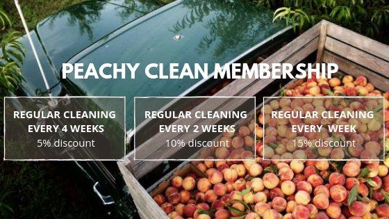 Peach State Cleaning offers discounts for regular service