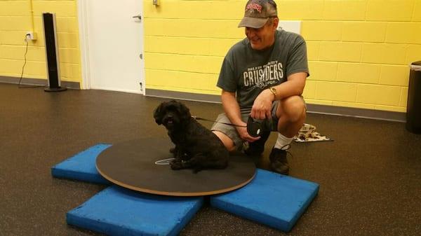 Lolo tries out the wobble board.