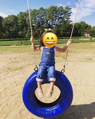 Rotating Tire Swing