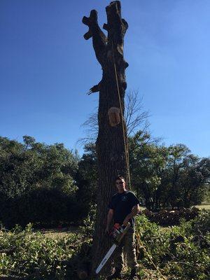 Taking down a large tree no job too big or small for me.