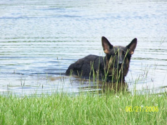 swimming