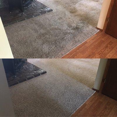 High traffic living room entrance was VERY soiled. Carpet looked brand new!