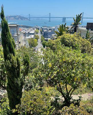 Calhoun Stairs & View