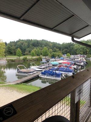 View from the patio