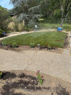 Sod & Mow Strip Installation - After - Los Altos, CA - June 2022