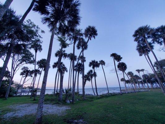 Manatee Hammock Campground