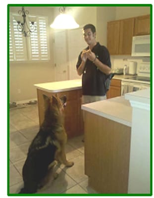 Paw Academy In-Home Professional Pet Care