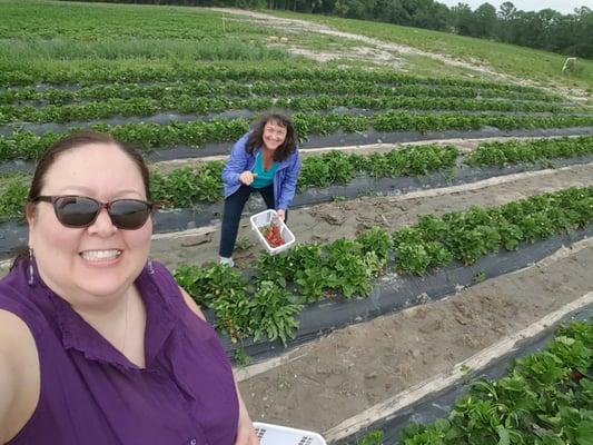 Bunce Brothers Farms