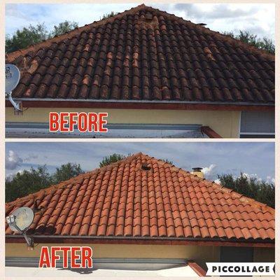 dramatic results after each and every roof cleaning.