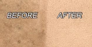 Professional carpet cleaning