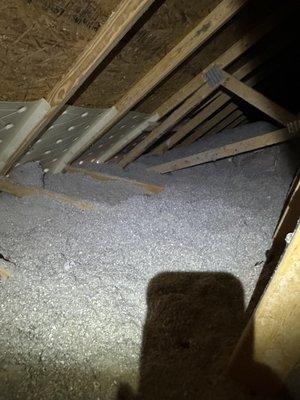 Cellulose blown in an attic