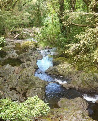 On the hike to Nahiku Landing