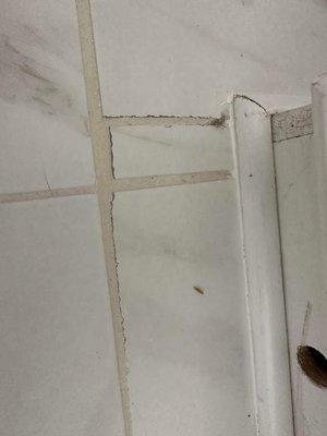 More poorly cut tiles